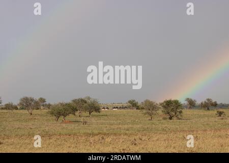 Regenbogen in einer wunderschönen Landschaftsaufnahme. Savannah Afrika Kenia Taita Hills. Machen Sie eine Safari in einer unglaublichen Landschaft Stockfoto