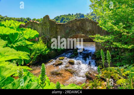 The Lover's Bridge over the River Avill in Dunster Castle, Somerset, England, Großbritannien Stockfoto