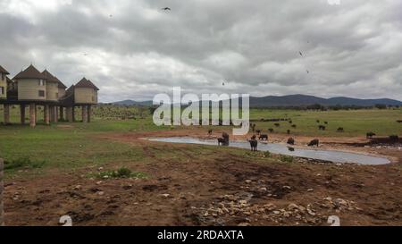 Salt Leck Safari Lodge in den Taita Hügeln kenia. Wunderschöne Lodge auf einer Safari in Kenia Afrika Stockfoto