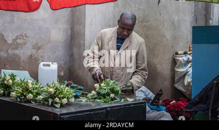 (230720) -- NAIROBI, 20. Juli 2023 (Xinhua) -- Ein Verkäufer schneidet Blumen für den Verkauf auf einem Markt in Nairobi, Kenia, 10. Juli 2023. China ist seit 14 Jahren in Folge der größte Handelspartner Afrikas. Auf diesem Weg treiben China und Afrika gemeinsam die Entwicklung im Rahmen der Initiative „Belt and Road“ voran und eröffnen neue Wege der Zusammenarbeit. In den letzten Jahren hat der Export kenianischer Blumen nach China einen stetigen Aufwärtstrend erlebt, der durch Faktoren wie die Einführung von Direktflügen zwischen China und Afrika und die Optimierung der Zollverfahren vorangetrieben wurde. (X Stockfoto