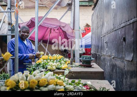 (230720) -- NAIROBI, 20. Juli 2023 (Xinhua) -- Ein Verkäufer schneidet Blumen für den Verkauf auf einem Markt in Nairobi, Kenia, 10. Juli 2023. China ist seit 14 Jahren in Folge der größte Handelspartner Afrikas. Auf diesem Weg treiben China und Afrika gemeinsam die Entwicklung im Rahmen der Initiative „Belt and Road“ voran und eröffnen neue Wege der Zusammenarbeit. In den letzten Jahren hat der Export kenianischer Blumen nach China einen stetigen Aufwärtstrend erlebt, der durch Faktoren wie die Einführung von Direktflügen zwischen China und Afrika und die Optimierung der Zollverfahren vorangetrieben wurde. (X Stockfoto