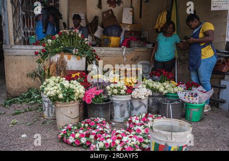 (230720) -- NAIROBI, 20. Juli 2023 (Xinhua) -- Verkäufer verkaufen Blumen auf einem Markt in Nairobi, Kenia, 10. Juli 2023. China ist seit 14 Jahren in Folge der größte Handelspartner Afrikas. Auf diesem Weg treiben China und Afrika gemeinsam die Entwicklung im Rahmen der Initiative „Belt and Road“ voran und eröffnen neue Wege der Zusammenarbeit. In den letzten Jahren hat der Export kenianischer Blumen nach China einen stetigen Aufwärtstrend erlebt, der durch Faktoren wie die Einführung von Direktflügen zwischen China und Afrika und die Optimierung der Zollverfahren vorangetrieben wurde. (Xinhua/Wang Gu Stockfoto