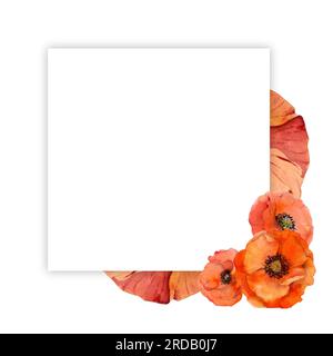 Quadratische Rahmenkomposition in Aquarellfarben mit handgezeichneten, leuchtend roten Mohnblumen im Sommer. Isoliert auf weißem Hintergrund. Entwurf für Einladungen, Hochzeiten Stockfoto
