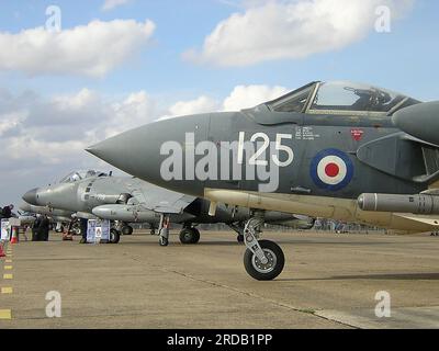 De Havilland D. H. 110 Sea Vixen FAW2 XS576 und Besuch von Jet-Flugzeugen von Sea Harrier im IWM Duxford Museum, Großbritannien. Sea Vixen Stockfoto