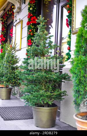 Weihnachtsbaum in einem großen Topf auf der Straße in der Nähe des Cafés. Restauranteingang mit Xmas-Töpfen und beleuchteten Girlanden. Festliche Dekoration mit Krankheit Stockfoto