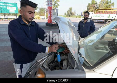 INDIEN, Punjab, Lehragaga, VERBIO Biogasanlage Verarbeitung von Rohreis zu CNG Biogas und Kompost, früher wurde das Reistroh vom Landwirt auf den Feldern verbrannt, nach der Methanierung wird das Erdgas in Flaschen für den Transport per Lkw gefüllt, Versorgung der indischen Öltankstelle/INDIEN, VERBIO Biogasanlage gewinnt aus der Fermentation von Reis Stroh hochwertiges CNG Biogas und Kompost, früher war das Reisstroh von den Landwirten auf den Feldern abgebrannt, das Biogas ist in der Methanisierung zu Methangas aufbereitet, komprimiert und in Gasflaschen zur Lieferung an Gastankstellen gefüllt, BE Stockfoto
