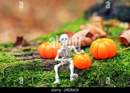 Die Skelettfigur sitzt auf grünem Moos und orangefarbenen Kürbissen im Wald. Süße dekorative, lustige Halloween-Figuren auf einem umgestürzten Baum im Herbstwald Stockfoto