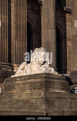 Auf den großen Stufen, die zur Vorderseite des Gebäudes führen, befinden sich große Steinlöwen vor dem Rathaus Leeds UK Stockfoto