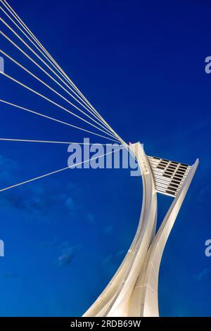 Die Ennio Flaiano-Brücke bei Nacht, Pescara, Italien Stockfoto