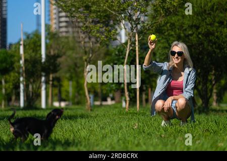 Eine junge, lächelnde blonde Frau in Sonnenbrille, Shorts und Hemd wirft einen gelben Ball zu einem Spielzeugterrier auf dem Gras im Park. Draußen mit einem Haustier zu spielen Stockfoto