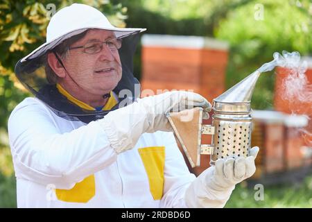 Ein älterer Imker, der im Sommer im Bienengarten einen Rauchtopf hält Stockfoto