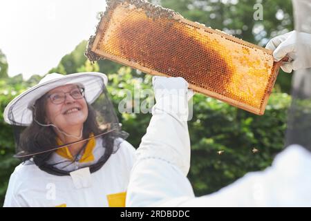 Lächelnde ältere Imkerin analysiert Honigwabenrahmen mit Mann im Imkereigarten Stockfoto