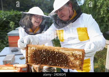 Lächelnde ältere Imkerin vom männlichen Imker mit Wabenrahmen im Bienengarten Stockfoto