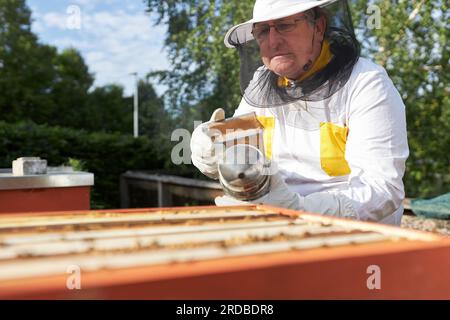 Leitender Imker, der Raucher hält und Schutzanzüge trägt, der in der Bienenstelle arbeitet Stockfoto