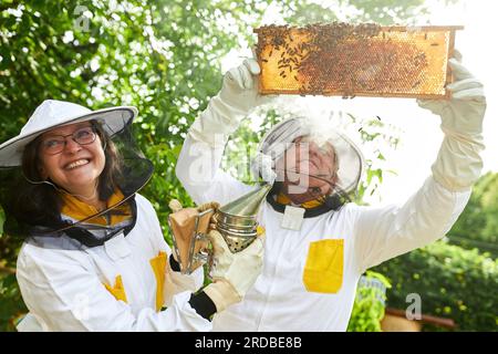 Glückliche ältere Imkerin, die Raucher hält, vom männlichen Imkerin, der Honigwabenrahmen im Bienengarten untersucht Stockfoto