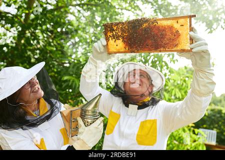 Glückliche ältere Imkerin, die Raucher hält, vom männlichen Imker, der den Honigwabenrahmen im Bienengarten untersucht Stockfoto