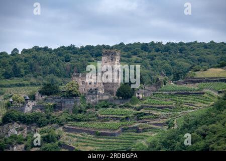 Schloss Gutenfels vom Rhein in Deutschland Stockfoto