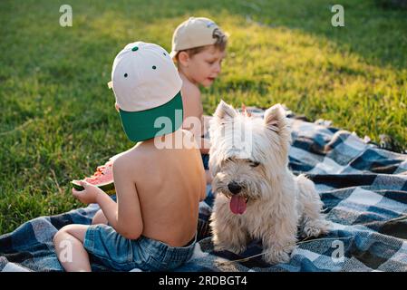 Jungs mit einem Hund West Highland White Terrier essen Wassermelone auf dem Garten Rasen. Stockfoto