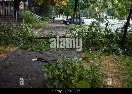 Nicht exklusiv: ZAPORISCHZHIA, UKRAINE - 18. JULI 2023 - zerbrochene Baumstämme sind auf einem Gehweg als Folge eines schweren Sturms, Zaporischzhia, Southe zu sehen Stockfoto
