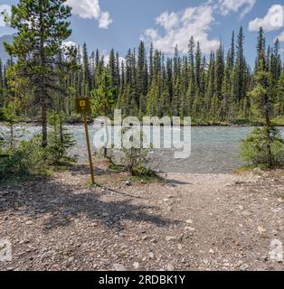 Wanderweg zum Hector Lake am Bow River im Banff National Park, Alberta, Kanada Stockfoto