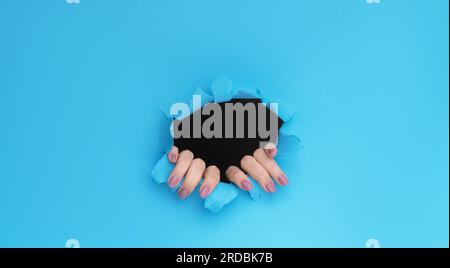 Bahnbrechende Papierhände im Loch. Neugierige weibliche Finger, die aus der zerrissenen Wand gucken raue Kanten blauer Werbeschild mit leerem Raum. Stockfoto