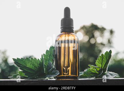 Wilde organische Urtica dioica, gewöhnliche Brennnessel, stechende Brennnessel Tinktur in kleiner brauner Glasflasche im Freien mit frischen Pflanzenblättern. Lifestyle-Aufnahme. Stockfoto
