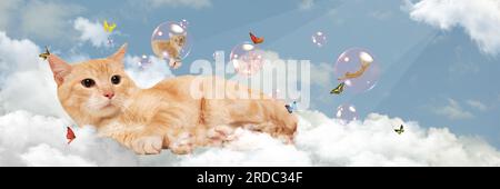 Collage für zeitgenössische Kunst. Süße Katze, die auf flauschigen Wolken liegt, mit einer anderen Katze, die in einer Blase herumfliegt. Himmel Stockfoto