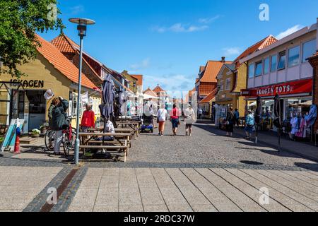 Ein Motiv für ein Foto aus Skagen. Skagen ist Dänemarks nördlichste Stadt. Ein paar Kilometer weiter nördlich endet Jütland mit der Sandbank „Grenen“, wo der Nor liegt Stockfoto