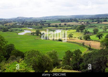 Blick auf die Landschaft des Towy Valley im Juli-Sommer vom Dryslwyn Castle Hill in Carmarthenshire Wales, Großbritannien, KATHY DEWITT Stockfoto