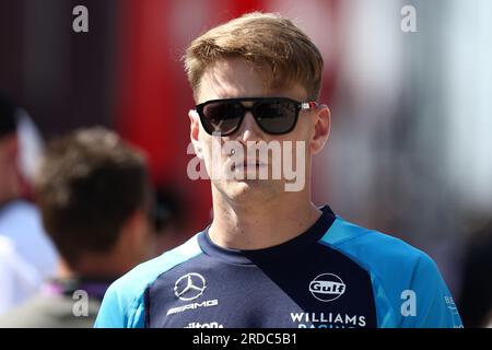 Mogyorod, Ungarn. 20. Juli 2023. Logan SarSergeant von Williams Racing schaut bei der Vorschau auf den Großen Preis von Ungarn F1 auf der Hungaroring am 20. Juli 2023 Mogyorod, Ungarn. Kredit: Marco Canoniero/Alamy Live News Stockfoto