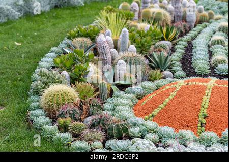 Details der berühmten Kaktusplantage im Carl Johans Park in Norrköping, Swweden. Stockfoto