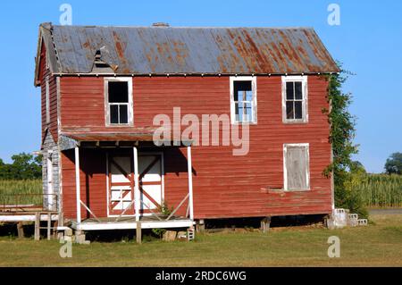 Corn Field liegt hinter einem alten Haus, das in eine Scheune umgewandelt wurde. Rustikale Blechdächer und Markise über der Tür. Außenbezüge aus verwittertem Holz in Rot. Stockfoto