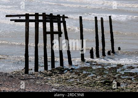 Surfen und altes Holz im seafords Naturschutzgebiet in Form einer Meereslandschaft. Ein Strandszene mitten im Sommer abgenutzte und beschädigte Holzstrukturen bei Ebbe Stockfoto