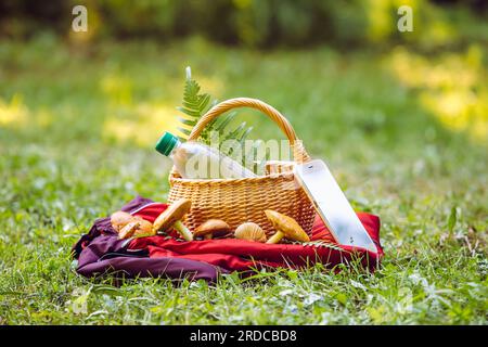 Wenn Sie zum Pilzsammeln gehen, bringen Sie ein aufgeladenes Telefon, eine Wasserflasche und eine helle Jacke mit, falls Sie sich im Wald verlaufen sollten. Stockfoto