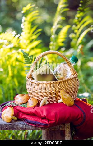 Wenn Sie zum Pilzsammeln gehen, bringen Sie ein aufgeladenes Telefon, eine Wasserflasche und eine helle Jacke mit, falls Sie sich im Wald verlaufen sollten. Stockfoto