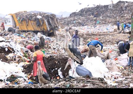 Nairobi, Kenia. 14. Juli 2023. Man sieht Leute, wie sie auf der Deponie Dandora Recyclingmaterialien pflücken. Die Regierung des Stadtbezirks Nairobi plant die Errichtung einer Recyclinganlage, die die auf der Deponie Dandora abgelagerten Abfälle in Energie umwandeln wird. Die weitläufige Mülldeponie nimmt täglich etwa 2.000 Tonnen Abfall auf, was sie zur geschäftigsten Arbeitsstätte für Abfallsammler macht, um Kunststoffe und andere recycelbare Materialien zu finden. (Foto: Allan Muturi/SOPA Images/Sipa USA) Guthaben: SIPA USA/Alamy Live News Stockfoto