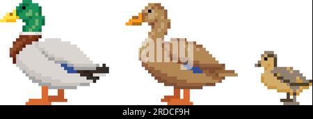 Pixel Art-Set mit Wildenten-Vögeln. Enten-Familie. Männliche Drake, weibliche Ente und Entlein-Ikonen. Vektordarstellung isoliert auf weißem Hintergrund Stock Vektor