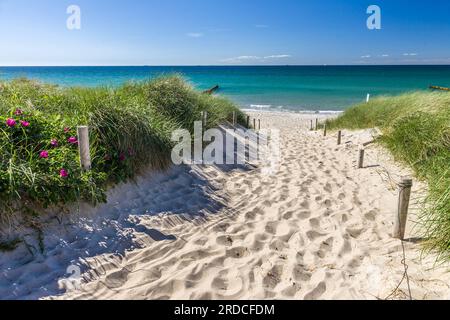 Geografie / Reise, Deutschland, Mecklenburg-Vorpommern, Ahrenshoop, Weg zum Strand in Ahrenshoop, ZUSÄTZLICHE-RECHTE-FREIGABE-INFO-NICHT-VERFÜGBAR Stockfoto
