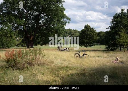 Eine Person ruht am 20. Juli 2023 neben ihrem Fahrrad im Brockwell Park, einer südLondoner Grünfläche in Lambeth, in London, England, auf langem Gras. Stockfoto