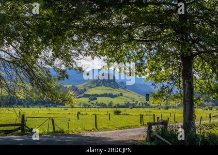 Geografie/Reise, Neuseeland, Waikato, Whenuakite, Cop Meadow und Mounts at Whenuakite, Waikato, ADDITIONAL-RIGHTS-CLEARANCE-INFO-NOT-AVAILABLE Stockfoto
