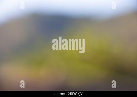 Verwischen Sie den natürlichen Hintergrund des Bokeh, funkelndes Grün, Gelb, leuchtendes Rot, leuchtendes Orange. Stockfoto