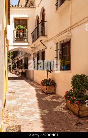 Enge Straße mit Pflanzmaschinen im Zentrum der spanischen Altstadt von Marbella. Stockfoto