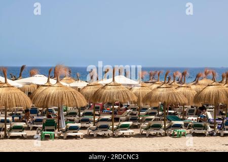 Strohschirme und Sonnenliegen am Marbella Strand in Spanien. Stockfoto