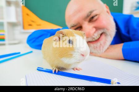 Zoologie oder Biologie. Meerschweinchen auf Schultisch. Grundschule Naturunterricht. Versuchstiere im Biologiekurs. Lieblingstier. Männlicher Lehrer Stockfoto