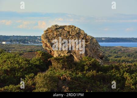 Agglestone Rock ist ein 400 Tonnen schweres Sandsteinparadies auf der Isle of Purbeck in Dorset. Stockfoto