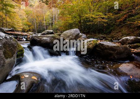 Das Wasser strömt durch einen Felsgarten entlang des Middle Prong Little River in der Gegend von Tremont. Stockfoto