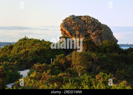 Agglestone Rock, auch bekannt als Devil's Anvil, ist ein Sandsteinblock mit einem Gewicht von etwa 400 Tonnen, hoch oben auf Godlingston Heath. Stockfoto