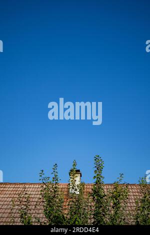 Dach mit Baum und blauem Himmel Stockfoto
