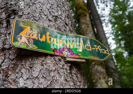 Bernau, Deutschland - 1. Juli 2023: Zauberwald-Pfad - der magische Waldweg durch die verzauberte Hochmoorlandschaft der Taubenmoos in Bernau, Stockfoto