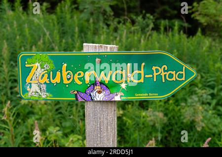 Bernau, Deutschland - 1. Juli 2023: Zauberwald-Pfad - der magische Waldweg durch die verzauberte Hochmoorlandschaft der Taubenmoos in Bernau, Stockfoto